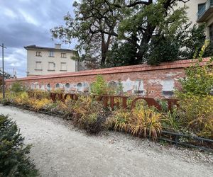 Park im. Wisławy Szymborskiej w Krakowie