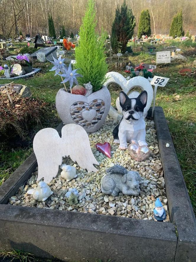 W całym woj. śląskim jest tylko jeden taki cmentarz. Miejsce, gdzie pamięć o pupilu nie umiera