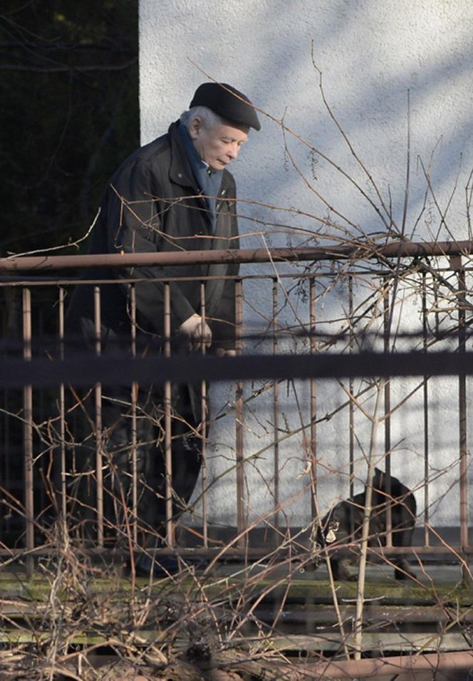 Koty Kaczyńskiego żyją jak w bajce