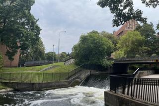 Eska Summer City na olsztyńskiej starówce