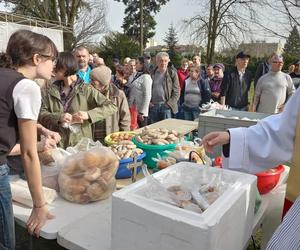 Ukryte życie parafii 8 kwietnia 2024