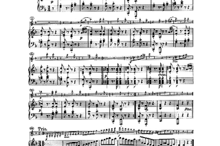 Matura podstawowa z historii 2015 ARKUSZE s. 9