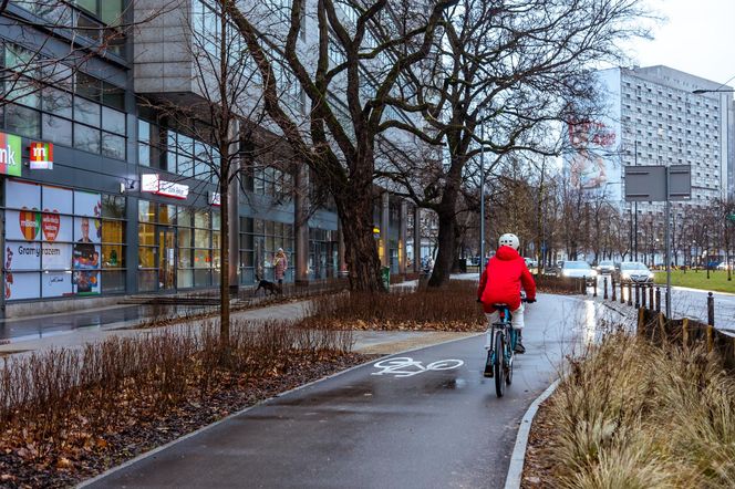 Zielona Marszałkowska między placem Bankowym a ul. Królewską