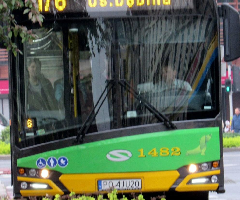 Od 1 sierpnia w związku z powrotem tramwajów na ul. 28 Czerwca 1956 r. na swoją stałą trasę wrócą także autobusy linii nr 176