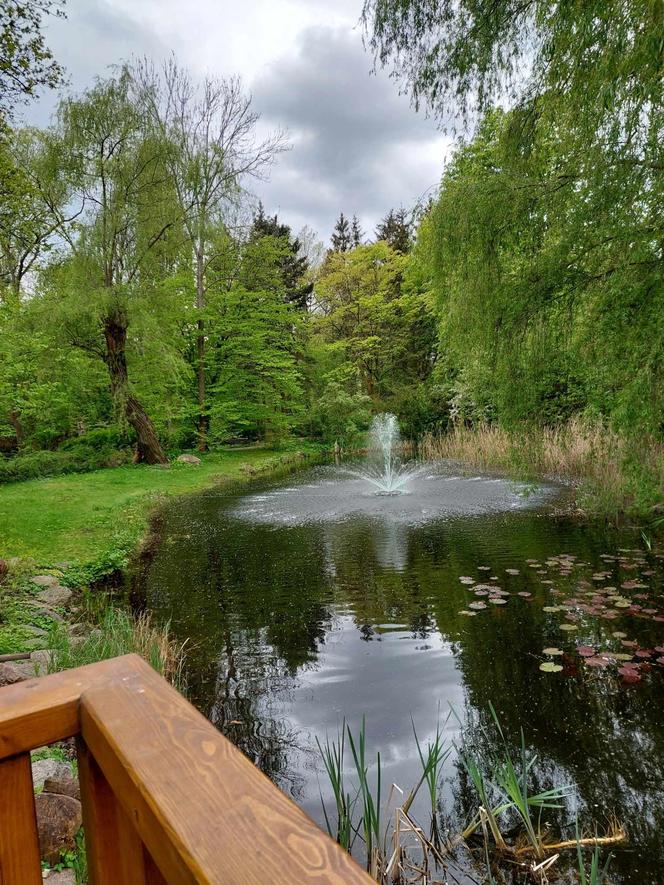 Ogród Botaniczny UKW jest jak nowy. Sprawdźcie, co się tam zmieniło!