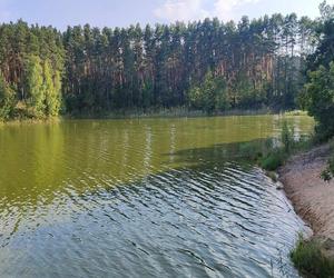 Zielona i mętna woda w starachowickiej Lubiance. Żal patrzeć.