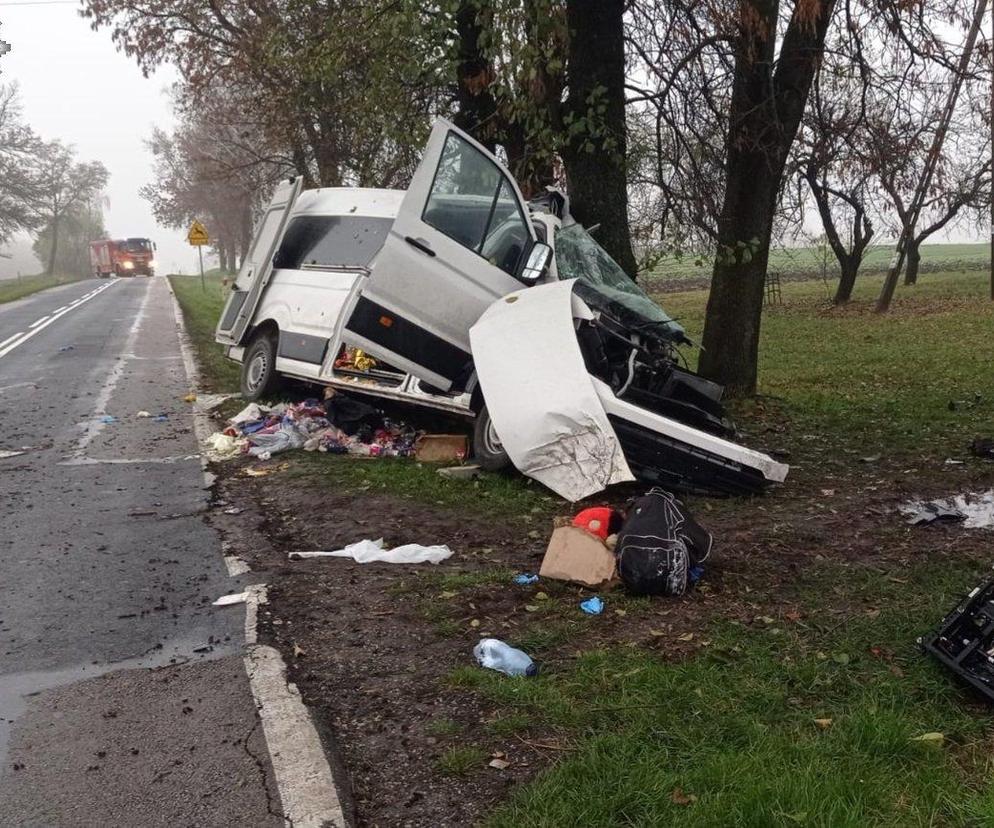 W wypadku w woj. lubelskim zginęło dwoje dorosłych i 6-letnie dziecko. Kierowca busa odpowie za spowodowanie katastrofy w ruchu drogowym