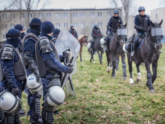 Atestacja koni policyjnych