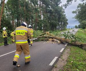 Wichury w Podlaskiem. Setki interwencji strażaków w całym regionie