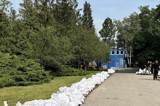 Wrocław. W miejskim ZOO trwają przygotowania do walki z żywiołem