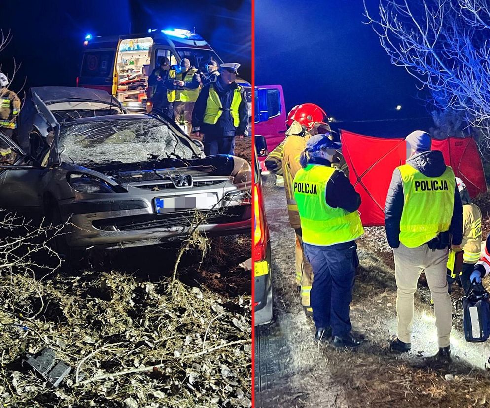 Obice. Śmiertelny wypadek kobiety i mężczyzny. Znaleźli ich policjanci [ZDJĘCIA].