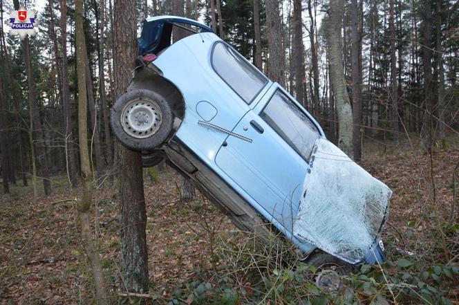 Wypadła z drogi – samochód zawisł na drzewie. 86-latka nie mogła się uwolnić!