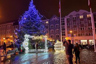 Świąteczny blask w Gorzowie Wielkopolskim