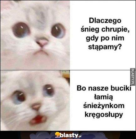 Najśmieszniejsze MEMY o zimie. Te obrazki są takie prawdziwe! 