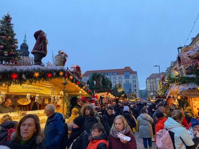 Najstarszy jarmark bożonarodzeniowy w Niemczech. Drezno zachwyca turystów z całego świata 