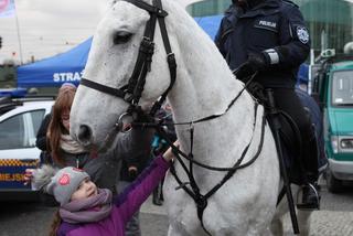 WOŚP 2020: Policja zadba o bezpieczeństwo wolontariuszy i uczestników 28 finału WOŚP