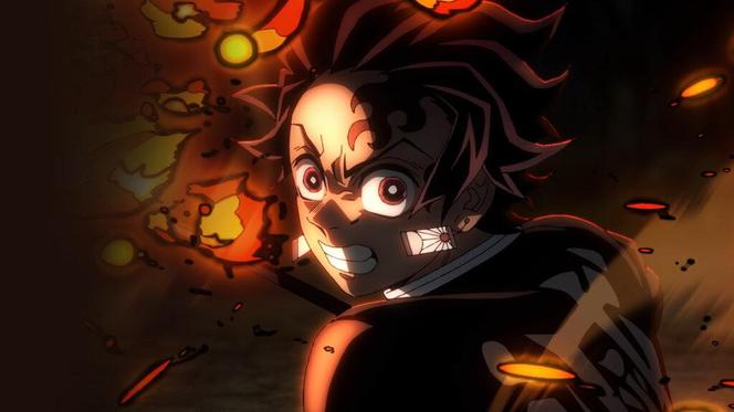 Demon Slayer: Kimetsu no Yaiba Hashira Training Arc