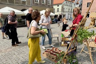 Stare Miasto w Olsztynie odżyło. Tak wyglądało niedzielne targowisko. Zobacz zdjęcia!