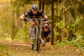 Adam Kołodziej i Teodor. Niezwykły tandem canicross [POSŁUCHAJ]