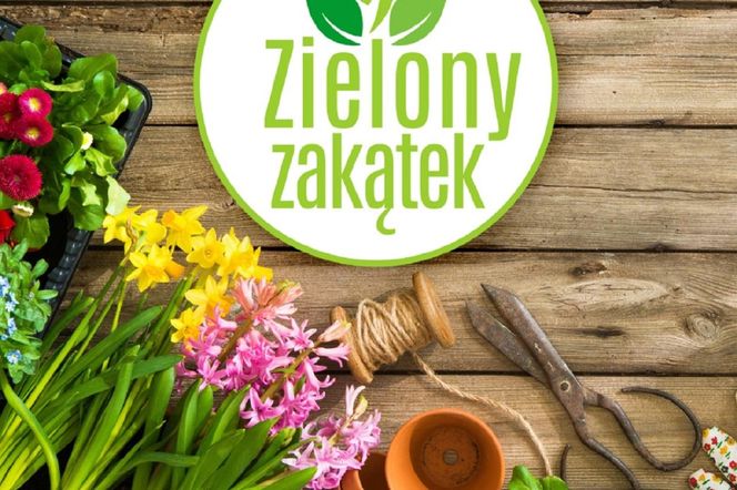 Zielony zakątek. Pokaż nam swój ogród lub balkon i wygraj!