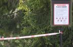 Rabka-Zdrój. Trzy osoby, w tym sześcioletnie dziecko, zginęły przygniecione przez powalone pod naporem wiatru drzewo