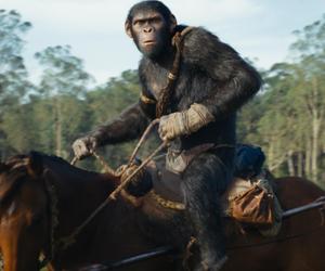 „Królestwo Planety Małp”! Oto 5 powodów, dla których warto zobaczyć ten film 