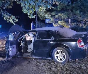 Lubelskie: 20-latek za kierownicą wjechał w drzewo. Pięć osób trafiło do szpitala