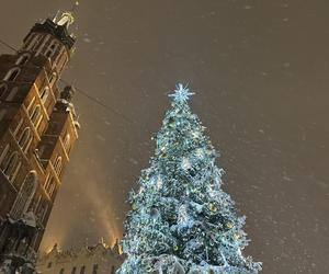 Choinka rozbłysła na Rynku Głównym. Tak wygląda Kraków w zimowej scenerii! 