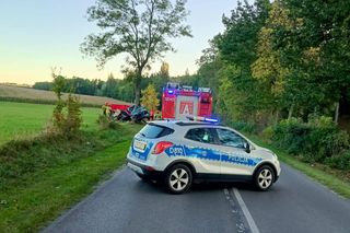BMW owinęło się wokół drzewa w woj. lubelskim. 23-latek zginął na miejscu