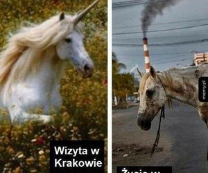 Najlepsze memy o Małopolsce. Wszyscy mieszkańcy dobrze znają to uczucie 