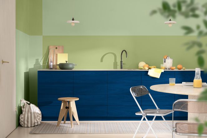 Kolor Roku 2026 Akzo Nobel