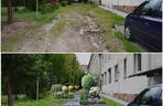 W Olsztynie powstają ogrody deszczowe. Co to takiego? [ZDJĘCIA]