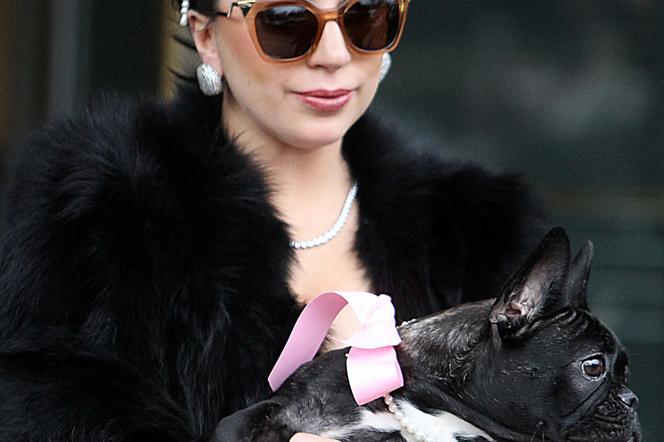 Lady Gaga i jej pies