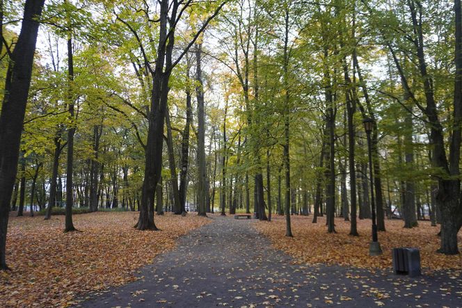 Park Lubomirskich w Białymstoku jesienią 