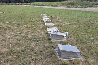 Tak wygląda „amerykański” cmentarz w Dywitach. Ile kosztuje miejsce?