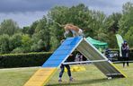 Zawody Agility w Myślęcinku. Psy walczyły o tytuł najzwinniejszego!