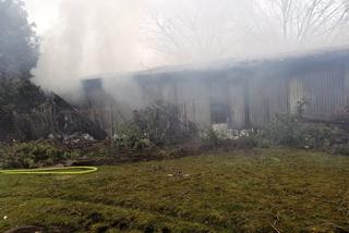 Pożar w miejscowości Zakręt