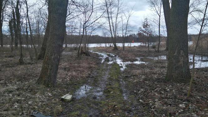 Nowy park powstanie na Gocławiu