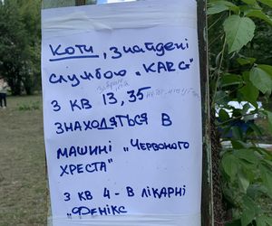 W ataku rakietowym w Kijowie zginęło 31 osób