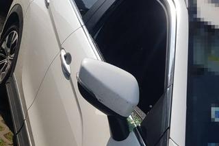 Reda: Potworna męczarnia kota w rozgrzanym aucie. Cierpiał wiele godzin. Policjanci wybili szybę pałką