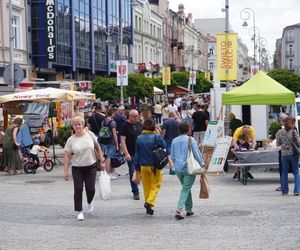 Święto Kielc 2025. Jarmark na ulicy Sienkiewicza