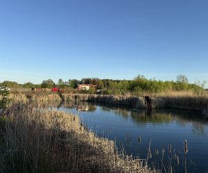 Nietrzeźwy utopił terenówkę w stawie. Potem zaczął pływać i śpiewać