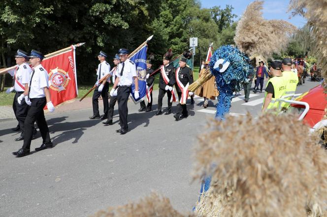 XXIV Dożynki Województwa Śląskiego w Łękawicy 