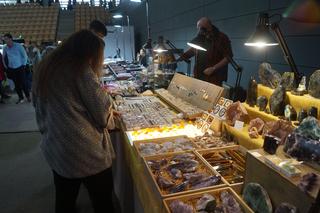Giełda Minerałów, Biżuterii i Skamieniałości Geo Expo 2023 w Bydgoszczy. Tłumy w SISU Arenie [ZDJĘCIA]