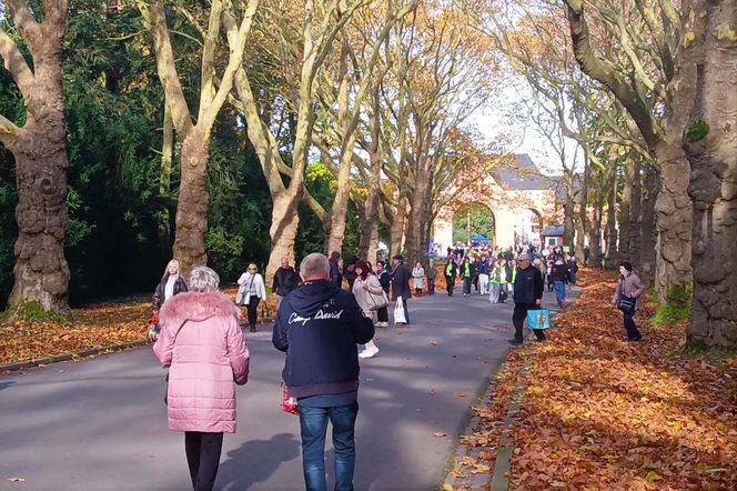 1 listopada na Cmentarzu Centralnym w Szczecinie