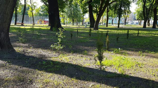 Park Jonstona gotowy, ale nadal zamknięty dla mieszkańców