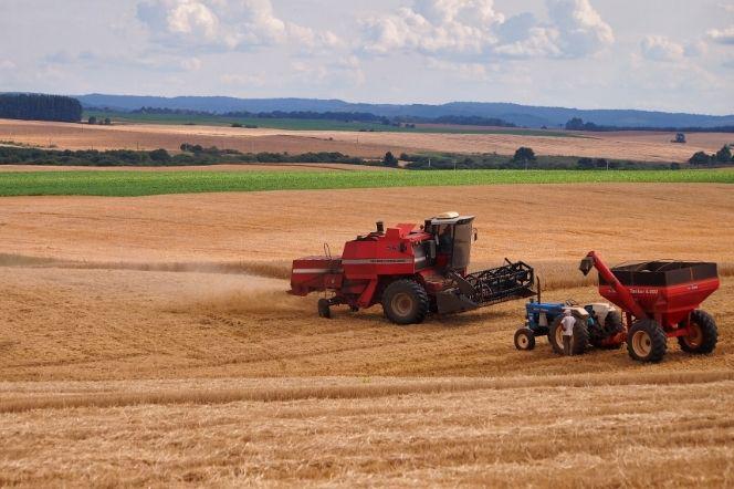 Lider Agrounii: Rolnik sprzedaje ziemniaki po 60 groszy, klient w sklepie kupuje je za 4 zł