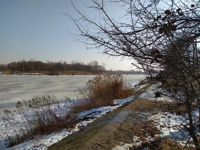 Mimo dodatnich temperatur spacerują po lodzie. Sprawa dzieli mieszkańców Białołęki