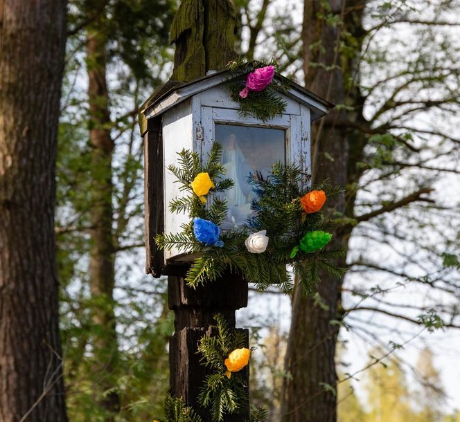 Muzeum Kultury Ludowej w Kolbuszowej - tu kręcono sceny do serialu "1670"