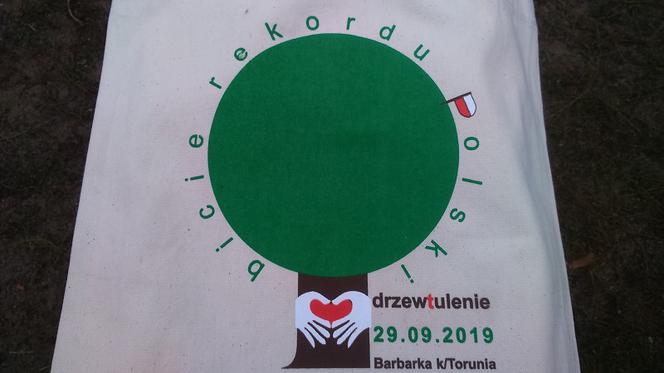 Toruń ustanowił rekord... w przytulaniu drzew! 